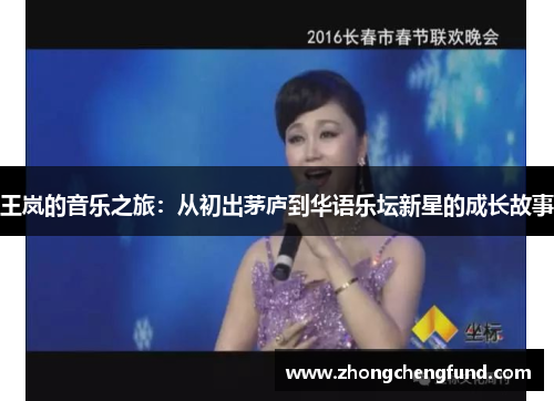 王岚的音乐之旅：从初出茅庐到华语乐坛新星的成长故事